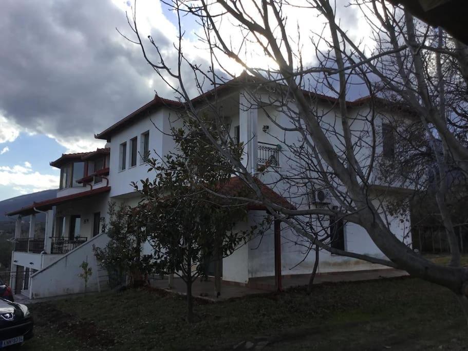 Villa_Kleio Litóchoron Esterno foto